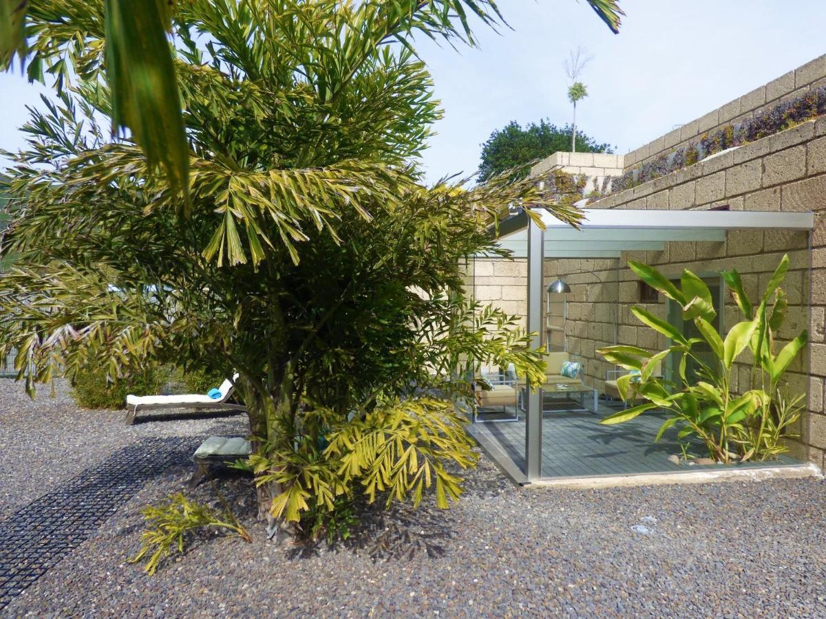 Eco Suites Caves La Laguna  Exterior foto