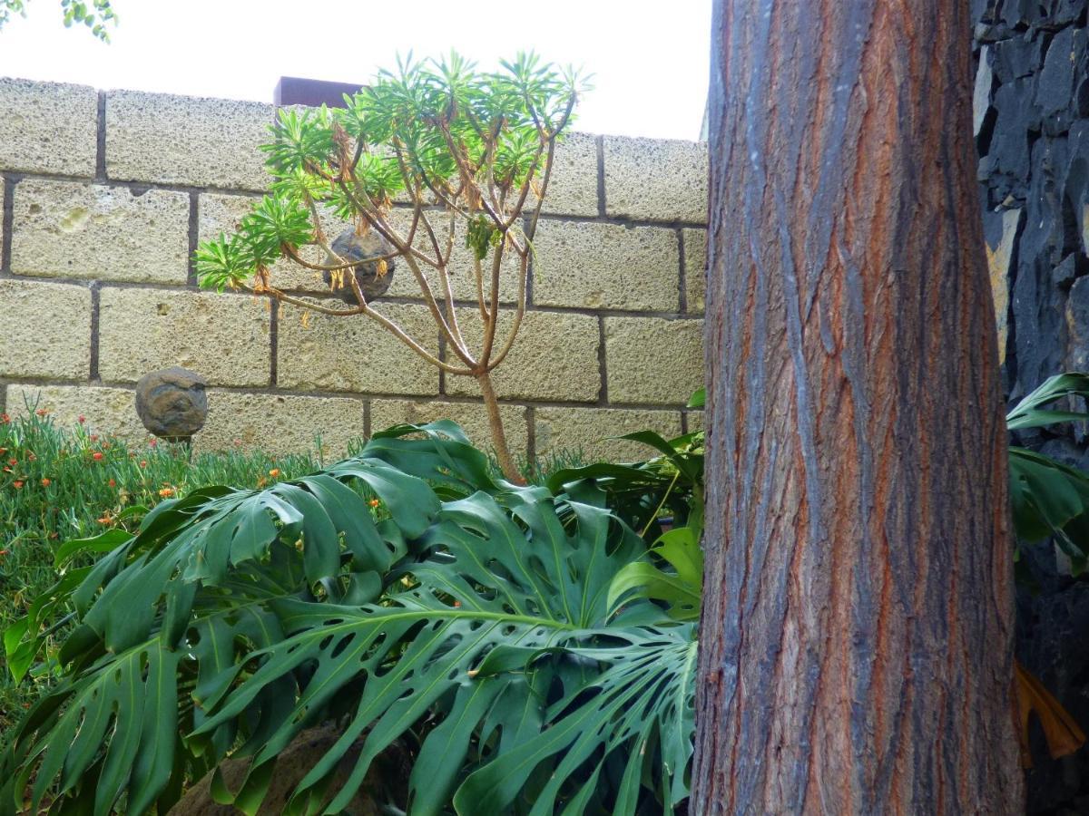 Eco Suites Caves La Laguna  Exterior foto